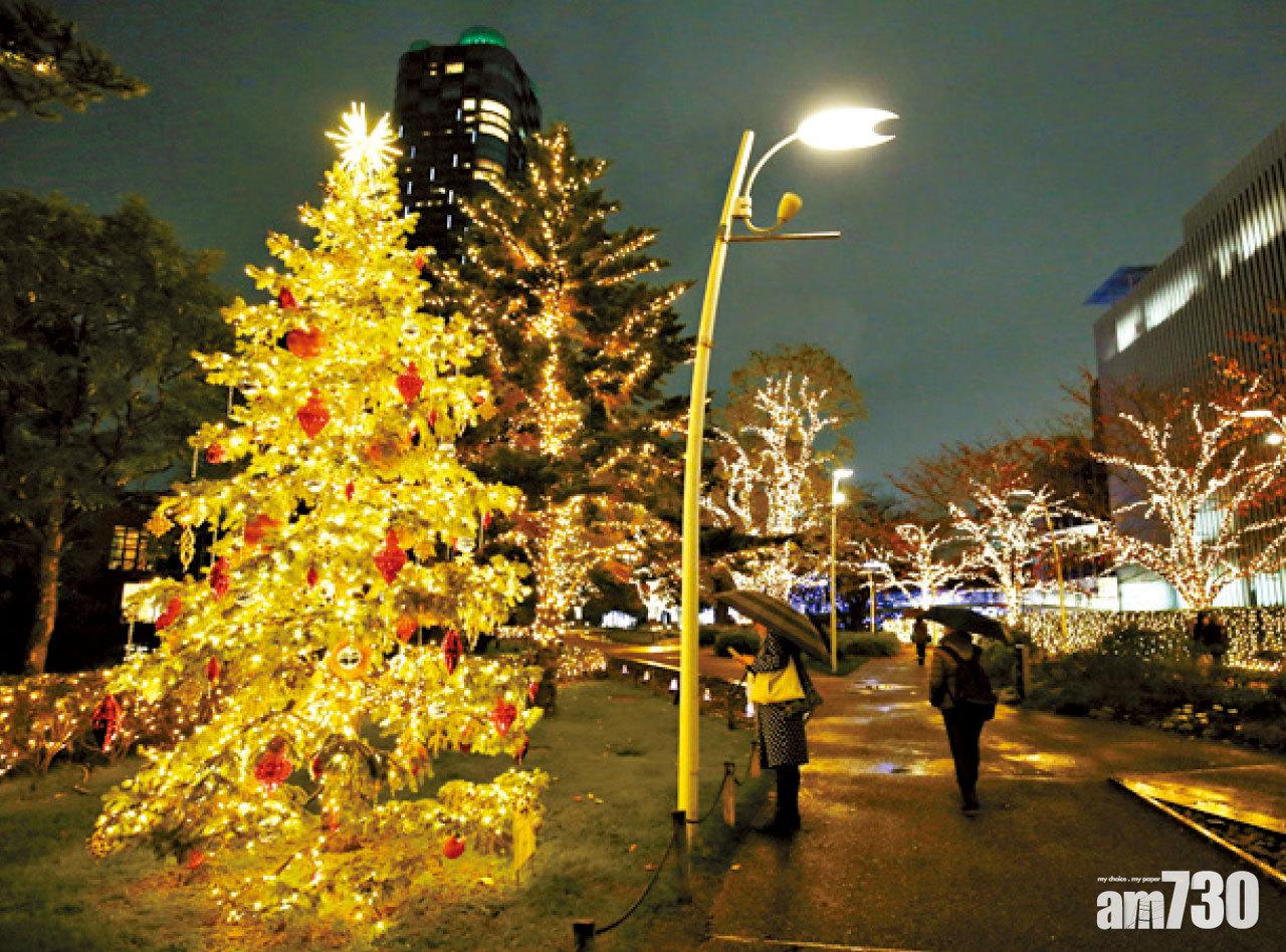 燈飾與聖誕樹完美配搭,亮燈後的樹木發放異彩。