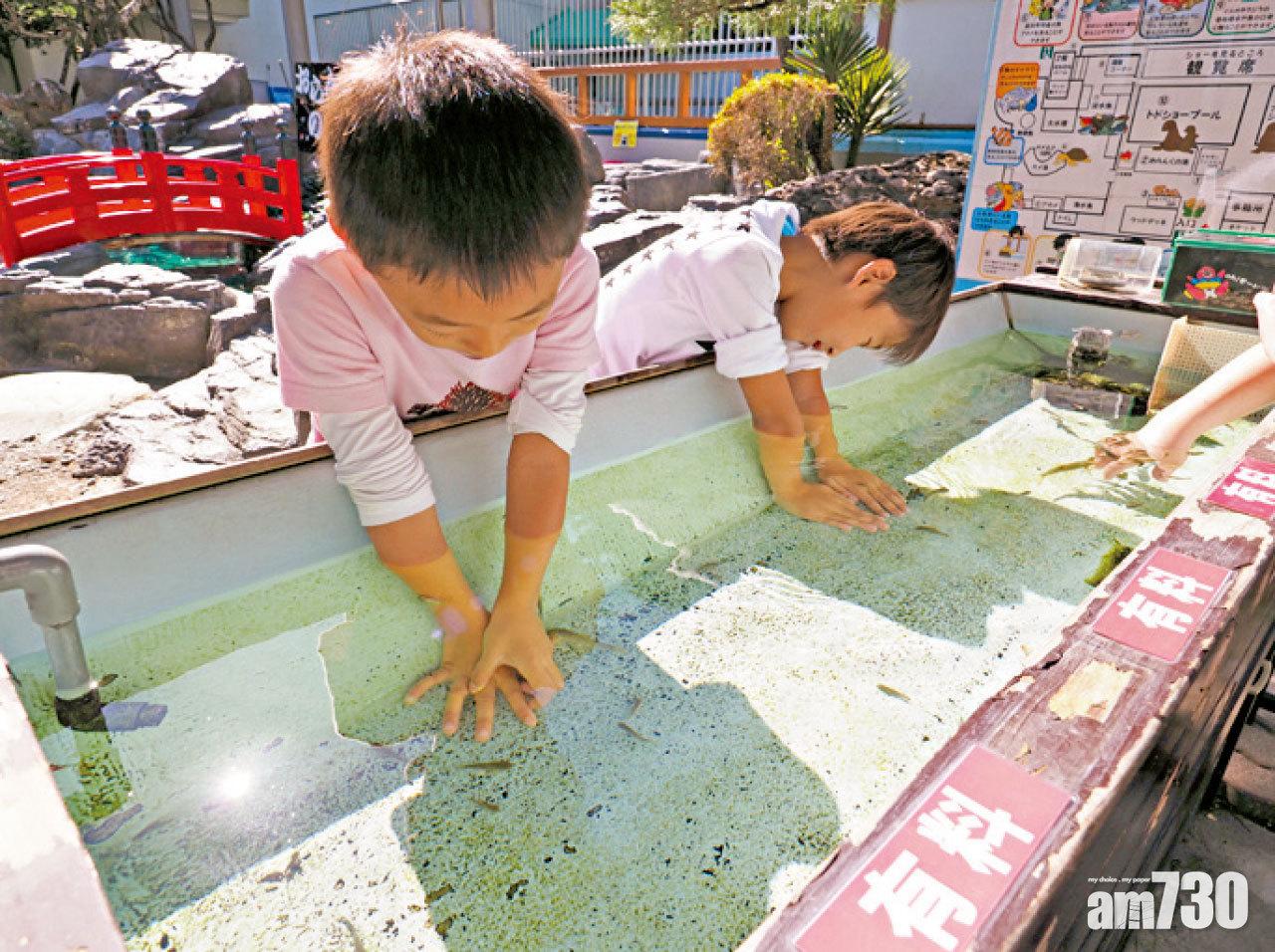 觸摸池有溫泉魚、小丑魚,給小朋友親近海洋生物。