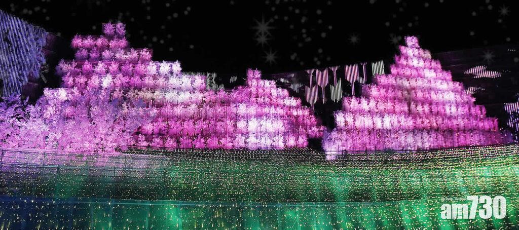 【1】櫻花
今年會場的主題為「千本櫻」,用大量LED燈泡打造出山景,上演著6分40秒的四季光影秀,可以於6分40秒內看到朝霧、櫻花等不同日本美景。