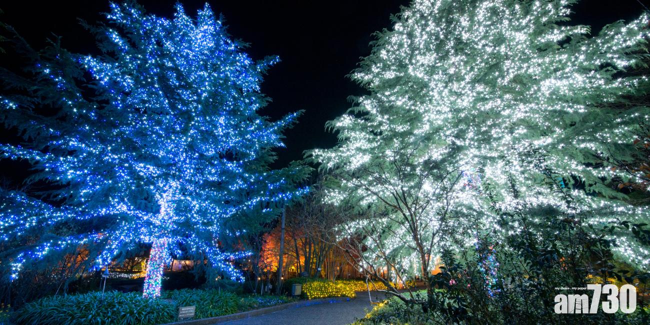 【6】光之聖誕樹
燈海展橫跨秋季至春季,說到冬天當然少不了聖誕樹!