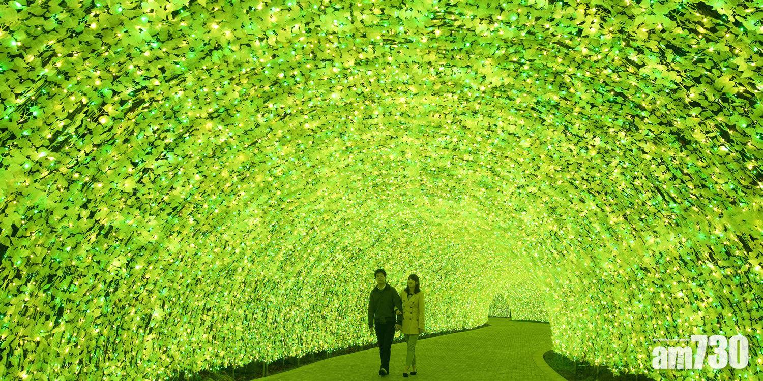 【4】油菜花隧道
除了光之隧道之外,這條以油菜花為主題的光之隧道也非常值得一看!用了最新的光影技術,完美展現了油菜花由綠變黃的過程。