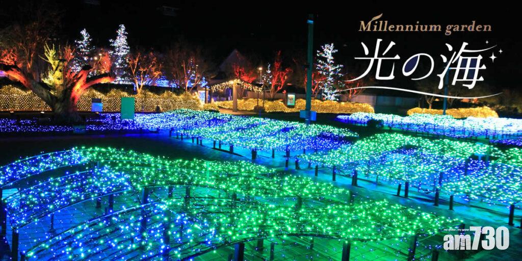【5】光之海
千年樹在日本代表著好運,園內一棵樹齡超過一千歲的大樹將會被點亮,為大家帶來絕景及好運!