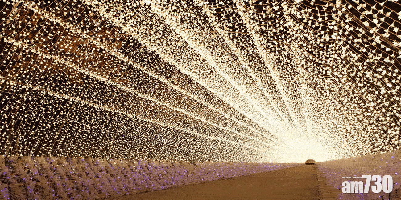 【3】光之隧道
名花之里裡的名點,這條長200米的Brilliant Road非常壯觀,由花瓣造型的LED燈砌造成,是打卡必到的地方!