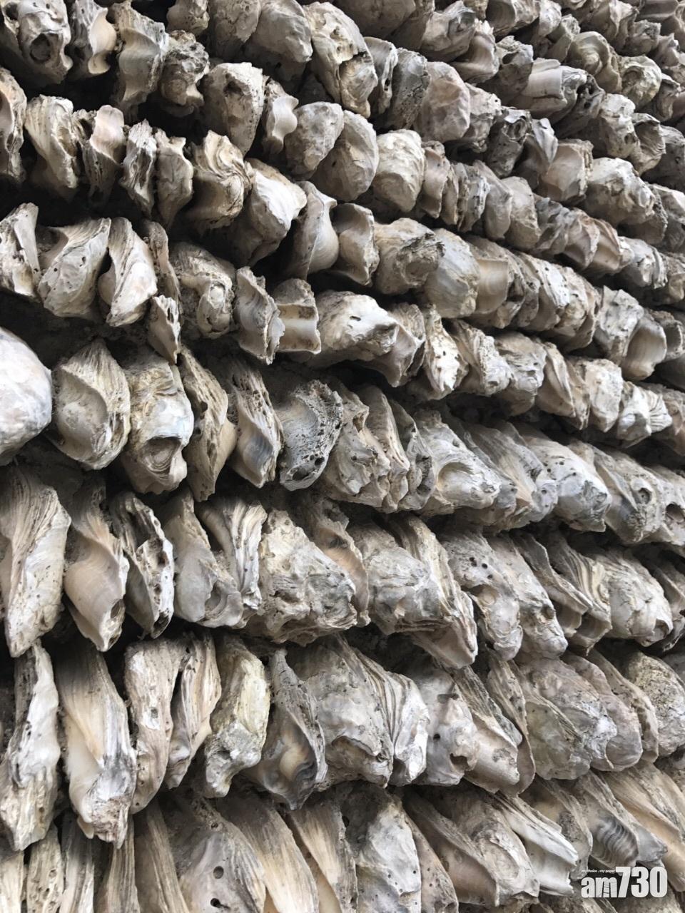 蠔殼屋是這裡人人爭着拍照的特色景點之一。