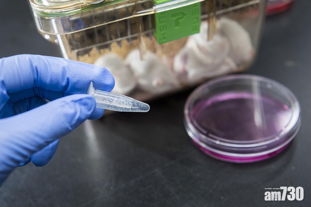 新型抗癌化合物Phorbiplatin,可望減少「正常」細胞在治癌期間受到的損害。