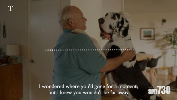 My Dog’s Favourite Podcast是主人安撫狗狗的新選擇。(互聯網)