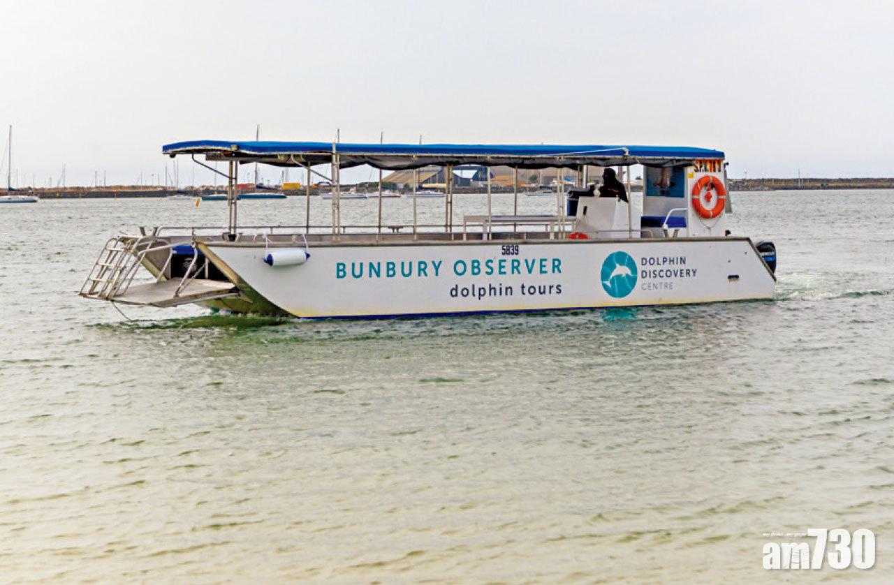 乘著觀豚船出發,船長會帶你尋找海豚的蹤影。