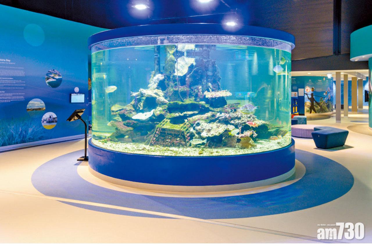 互動中心內有大型水族箱及鹹淡水生物展覽。