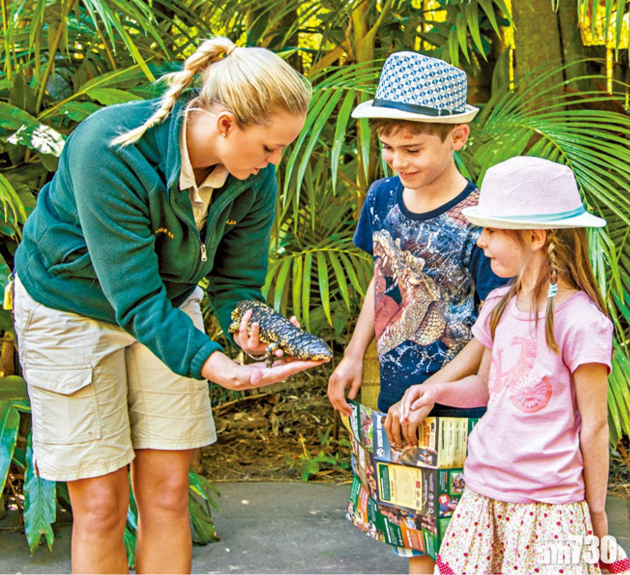 工作人員在不同角落拿著小動物,向每位遊客細心講解動物小知識。