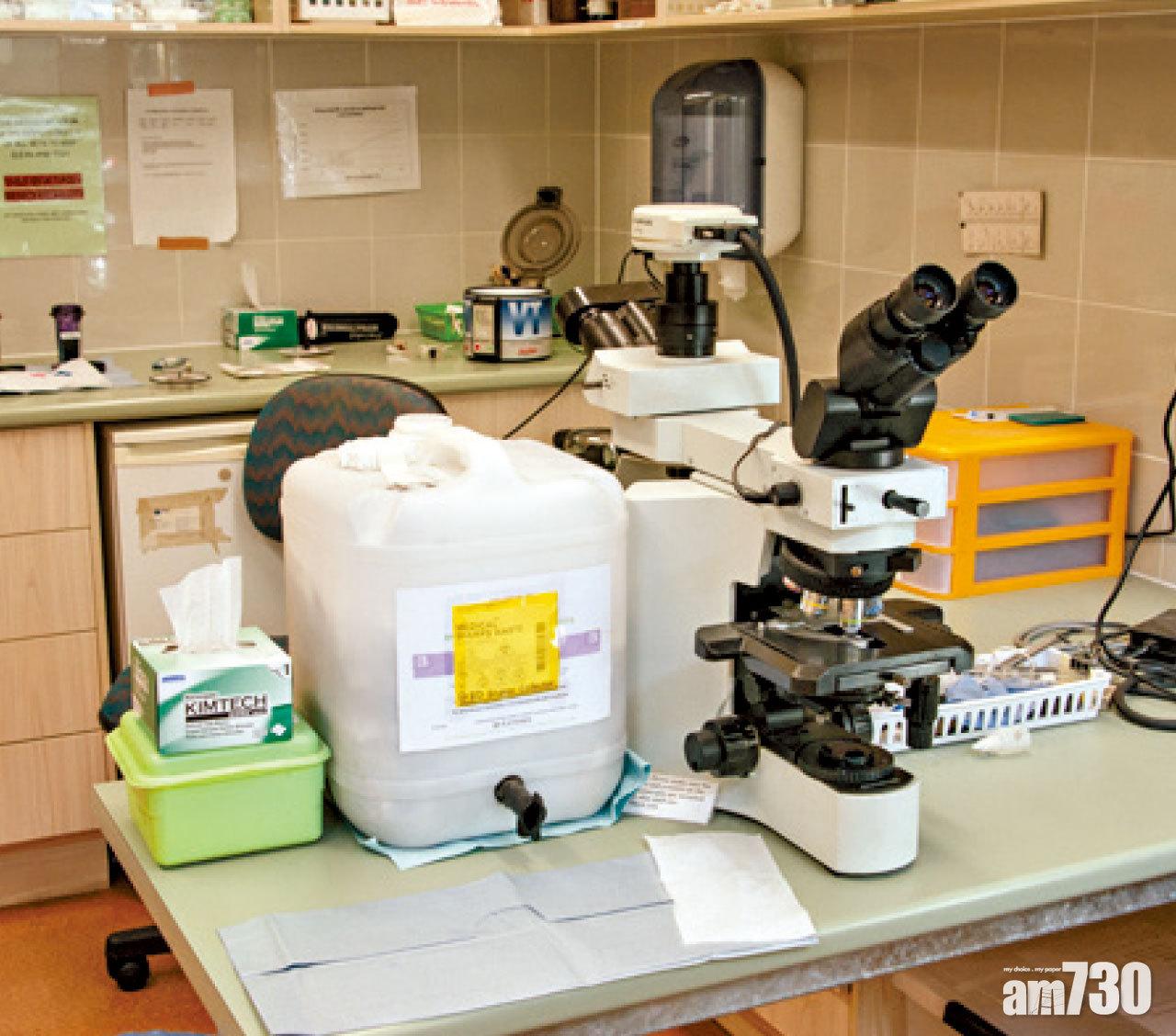 動物醫院內有先進醫療儀器為不同動物做手術。