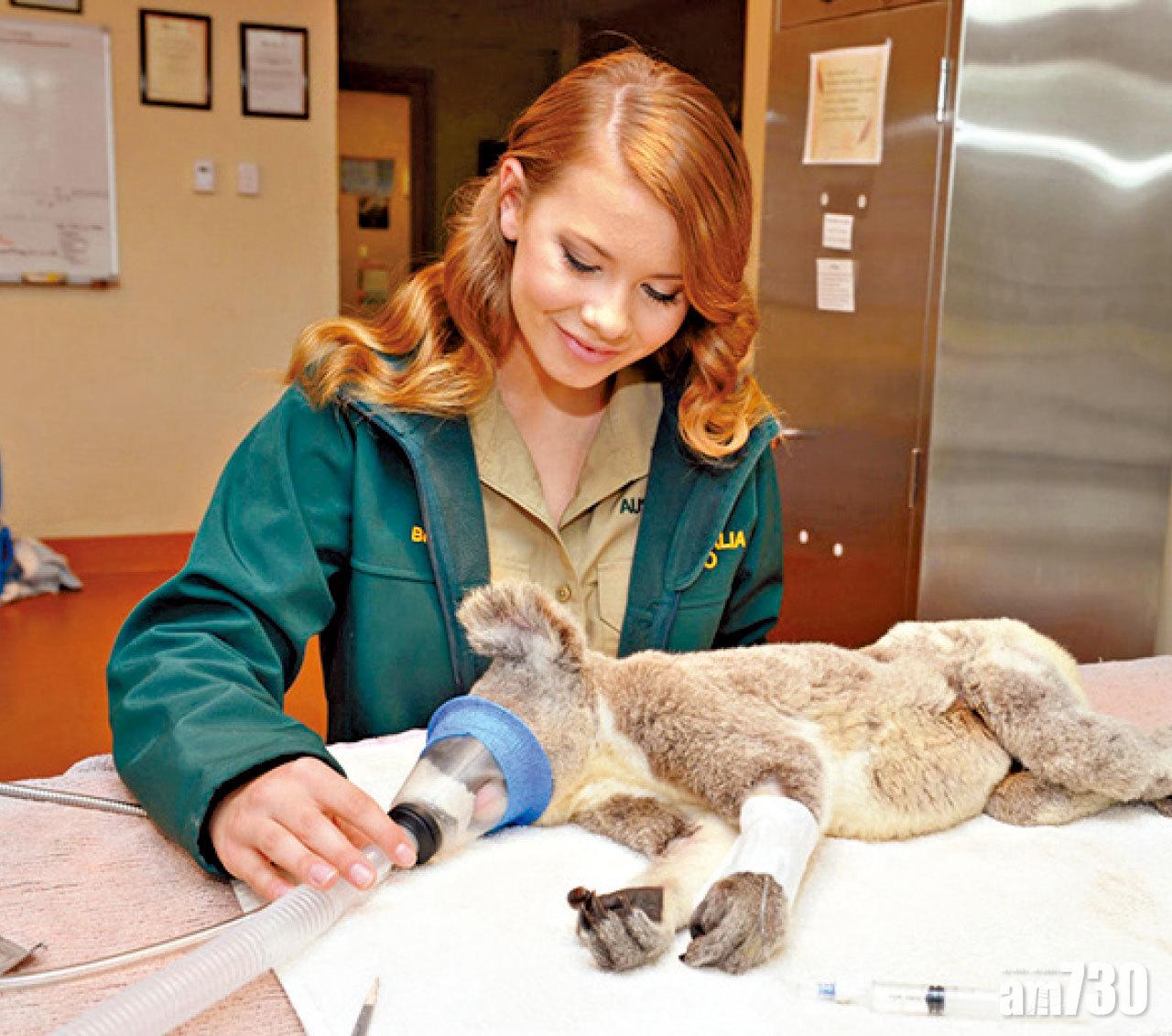 鱷魚先生的千金與家族等人,協力打理動物園。