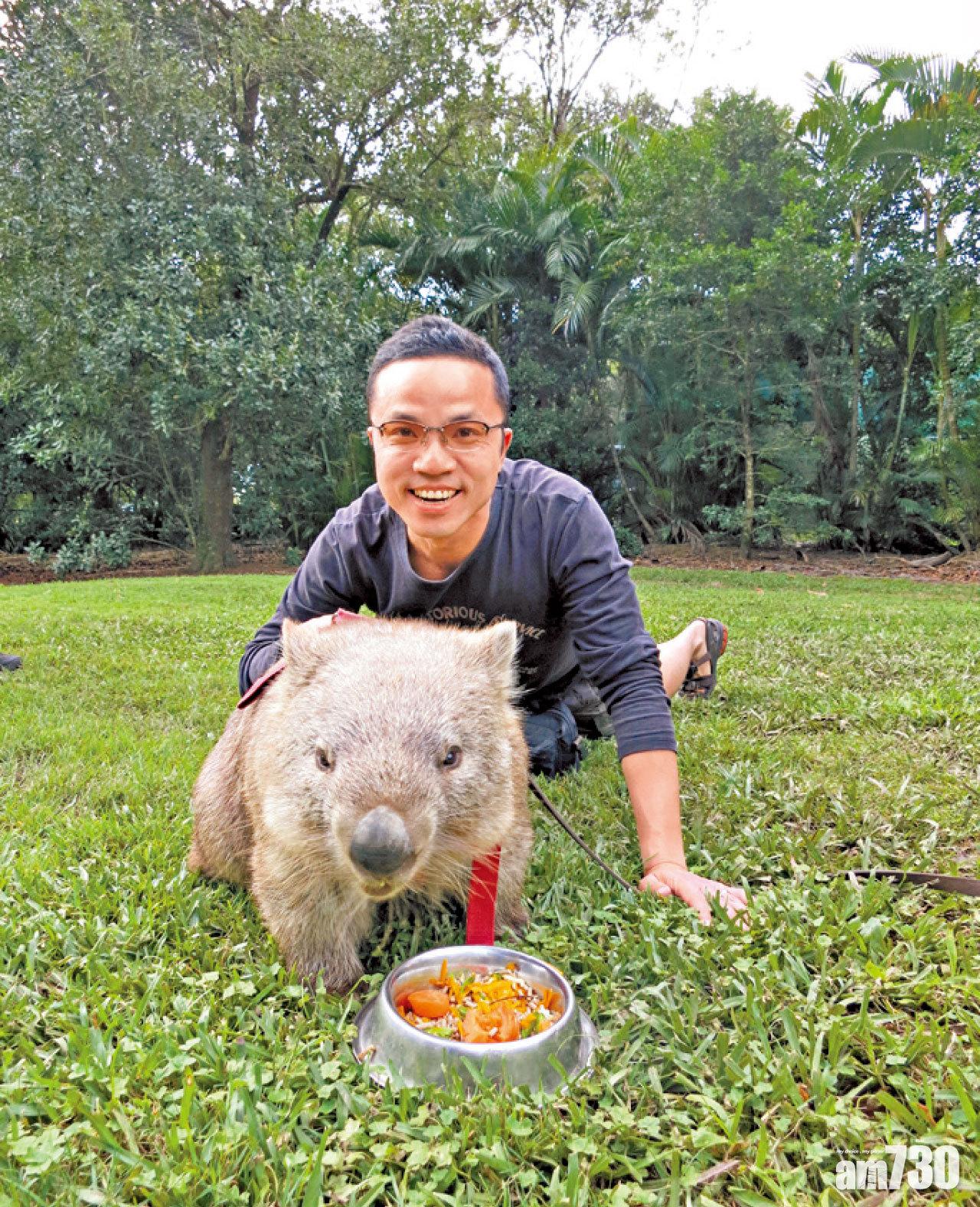 能跟袋熊近距離影相,是難得的體驗。