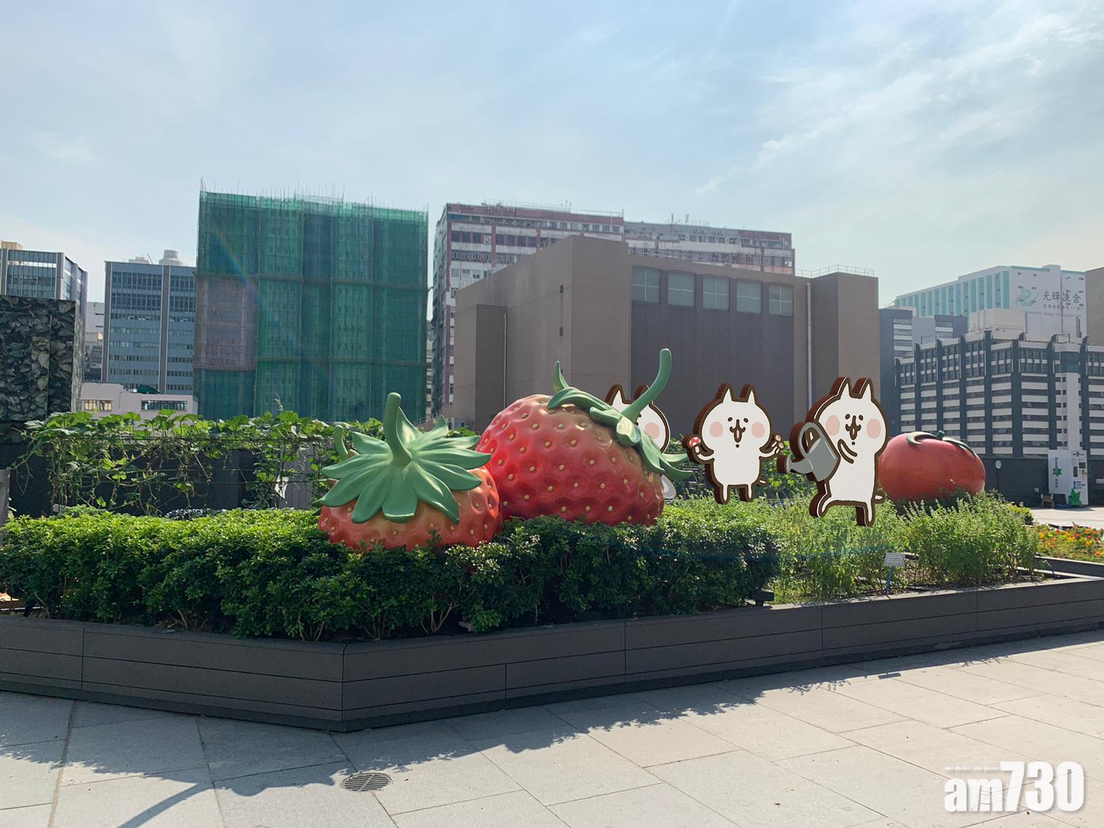 農莊內亦放置了多個飽滿的巨型果實裝置。