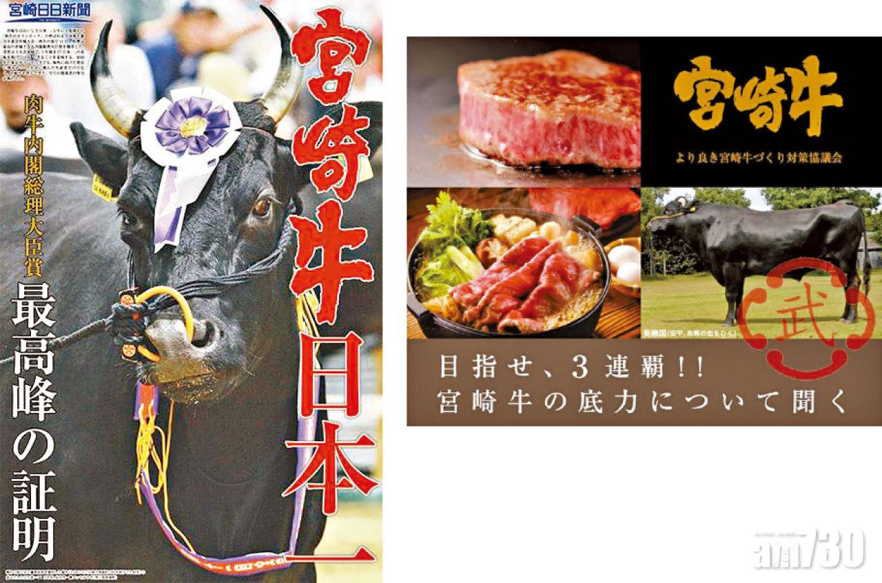 講完又想食牛,不如下星期講講和牛吧!