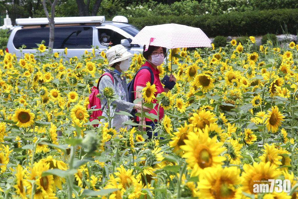 安山市民眾出外遊玩時戴口罩。(美聯社)