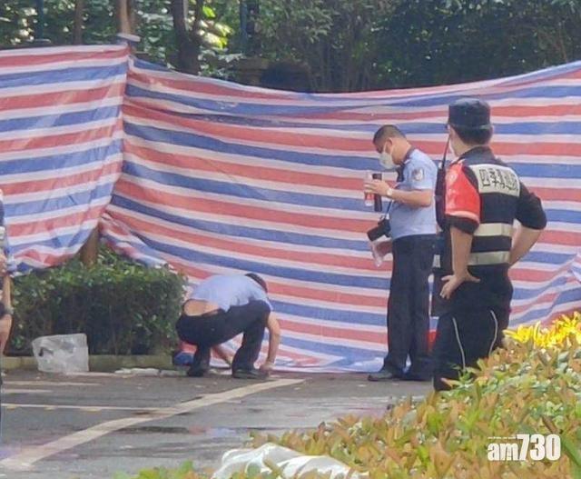 警方在屋苑多次搜查均無果。(互聯網)