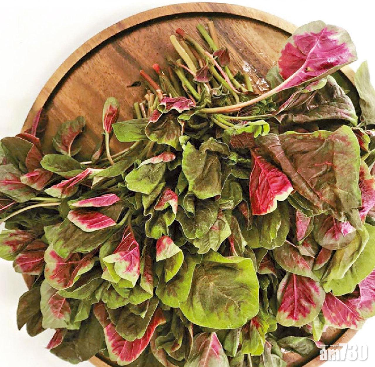 「賣菜仔」主打不同的本地蔬菜,如有機紅莧菜。
