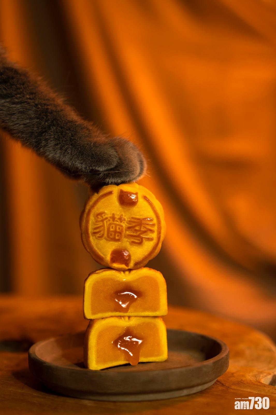 《貓好月圓・季節限定》
流心奶黃月餅 (四件裝 $228 )
早鳥價$188