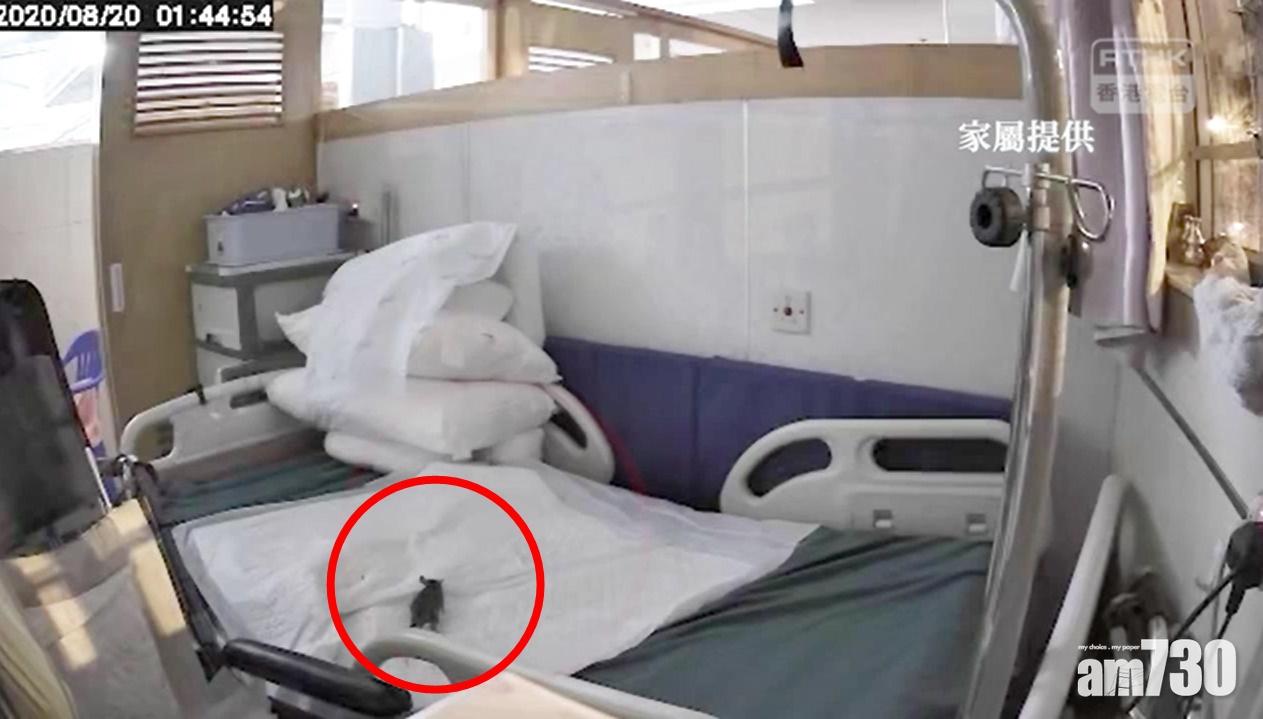 (香港電台片段截圖)