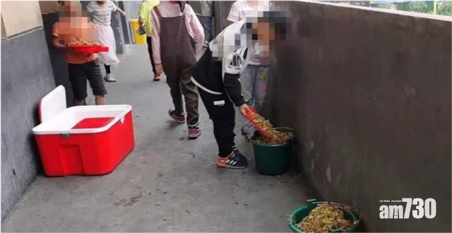 安徽一小學的學生將營養午餐「蒸麵條」倒入垃圾桶。(互聯網)