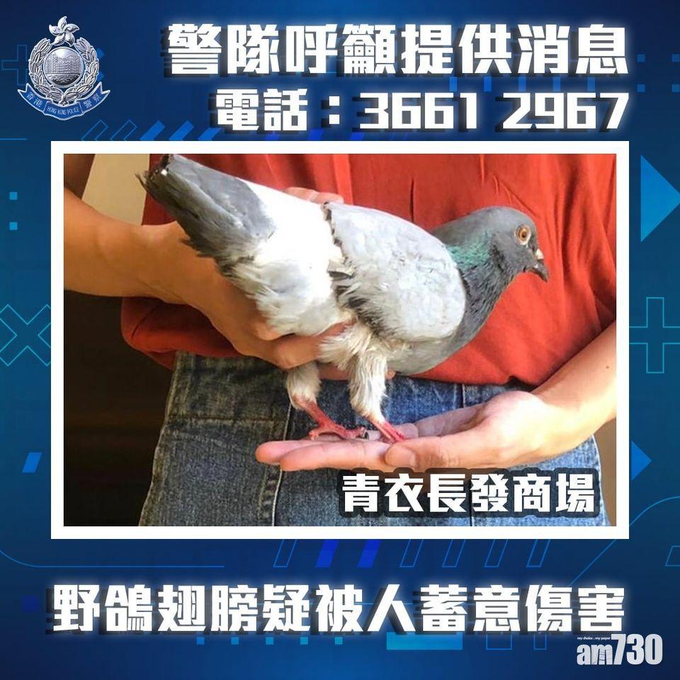 市民如有相關資料可致電3661 2967與警方聯絡。(香港警察Facebook)