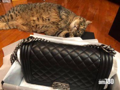 「唔開罐就抓落去」(Katie Fan @fb)