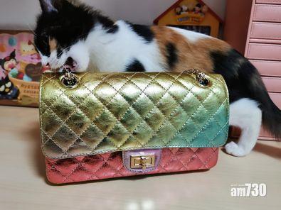 「等禾幫mama試下條帶堅唔堅」(Wai-Fern Lim @fb)