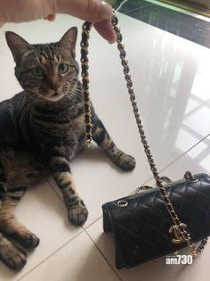 「冇事架(㗎)」(Taxi Wong @fb)