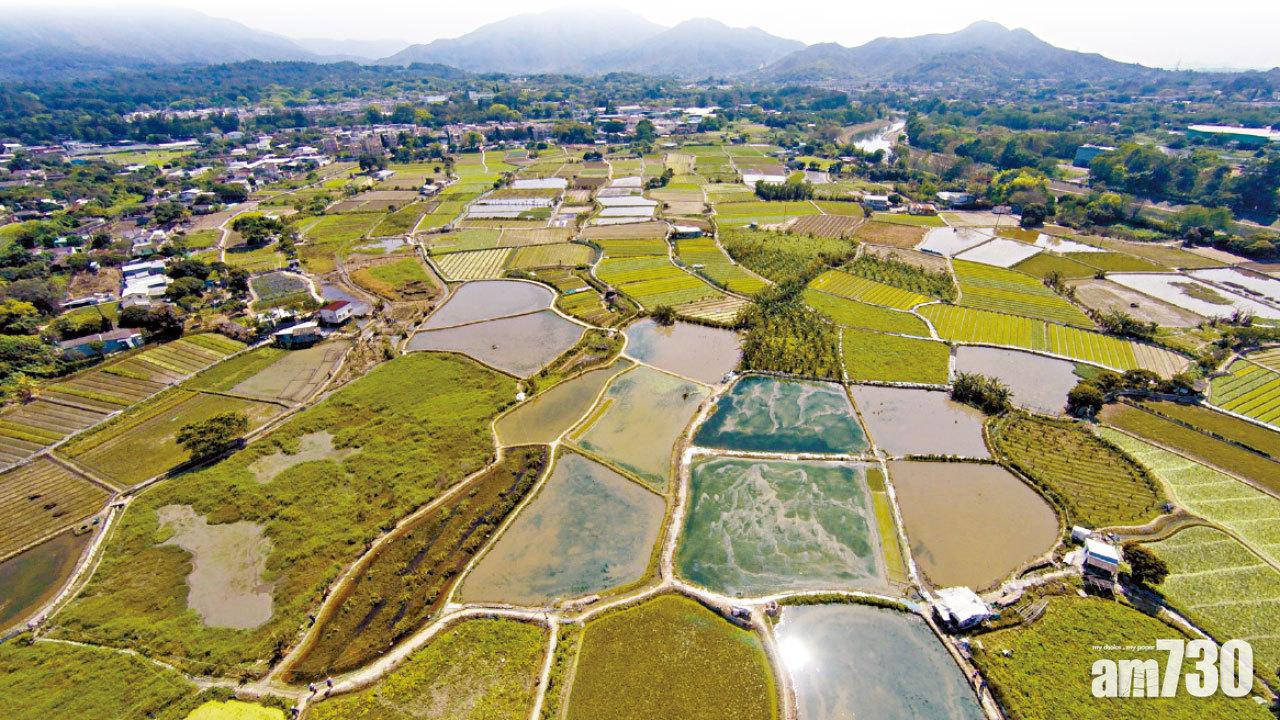 塱原在冬季有達74種雀鳥。