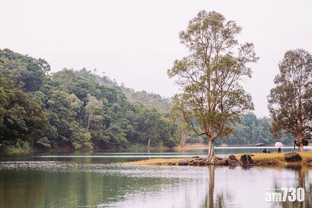 大家到城門水塘行山時,也可順道欣賞紅葉。(圖片來源:instagram@myheihei)