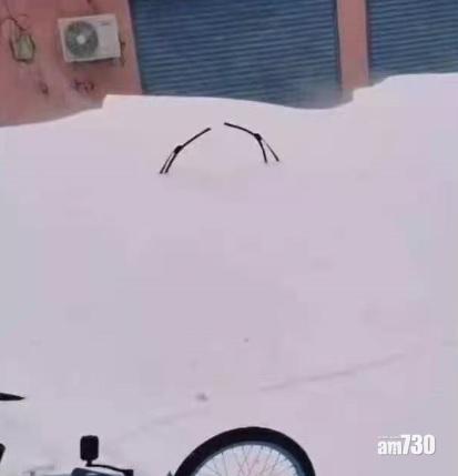 有網民分享,大雪下汽車遭淹沒,豎起來較易找到自己的座駕。(互聯網)