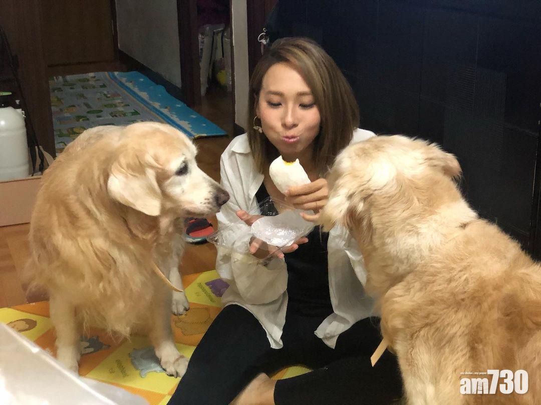 李旻芳家中兩隻愛犬,年紀漸大。