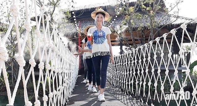 優雅地步上吊橋。(互聯網)