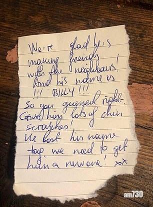 貓主Olga Shipunova立即回信。(互聯網)