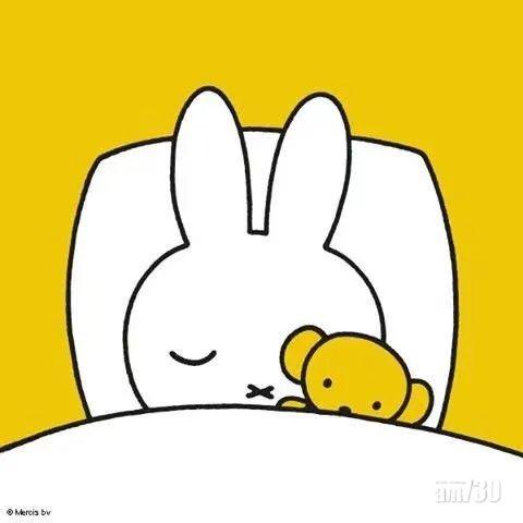 馮峰作品「有人說我像米菲」的Miffy原圖。(互聯網)