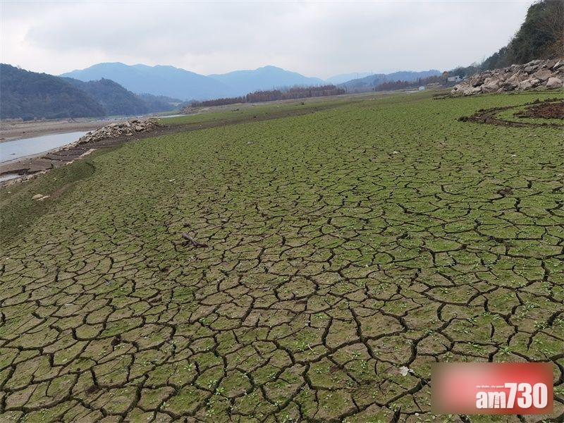 浙江紹興湯浦水庫入庫口已露出大片河床。(互聯網)