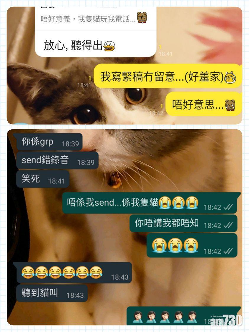 Law指「撳寶」試過用其電話錄音予其上司。(撳寶羅港女日誌 @FB)