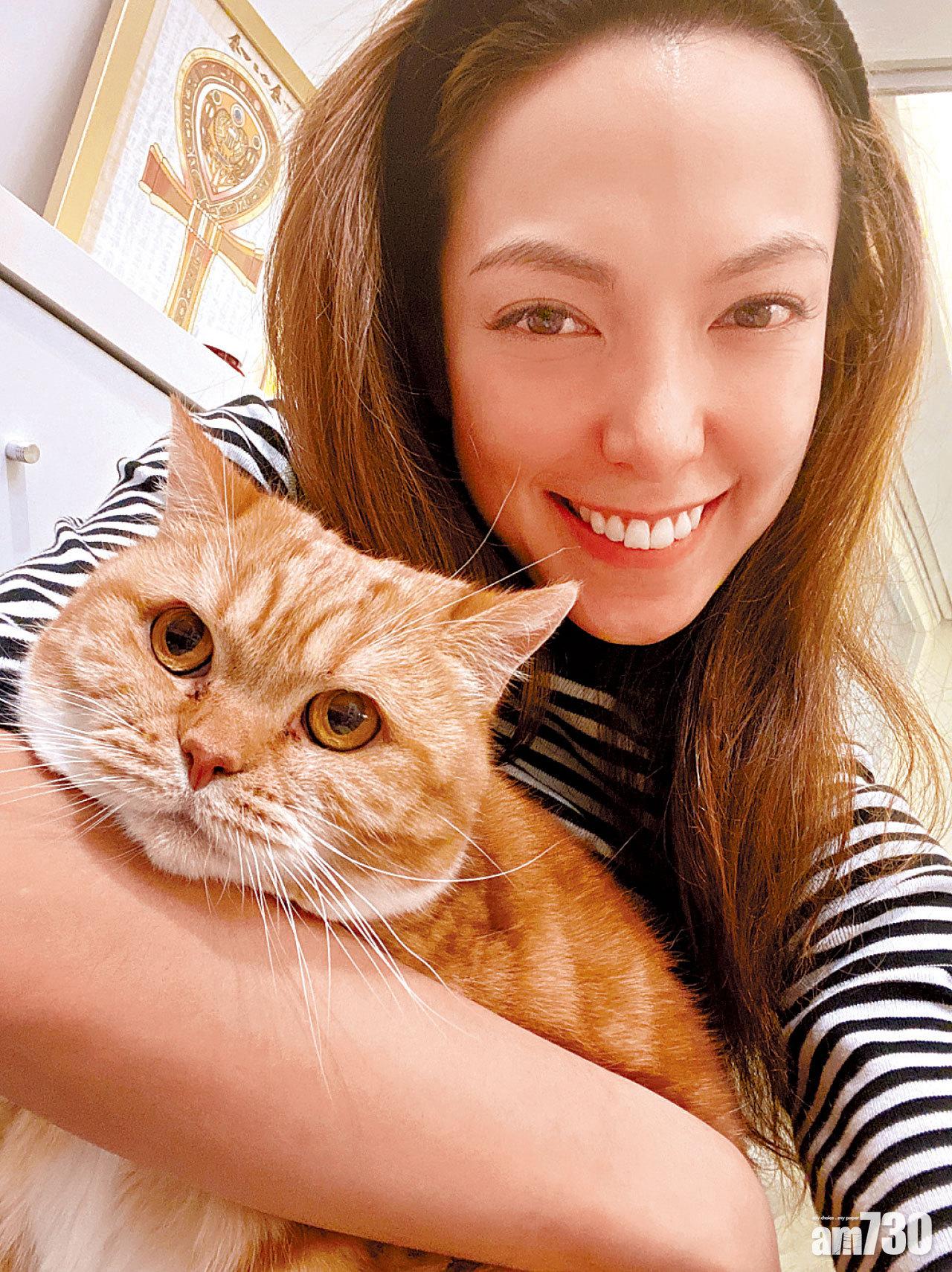 一年後才知Toffee是女仔。