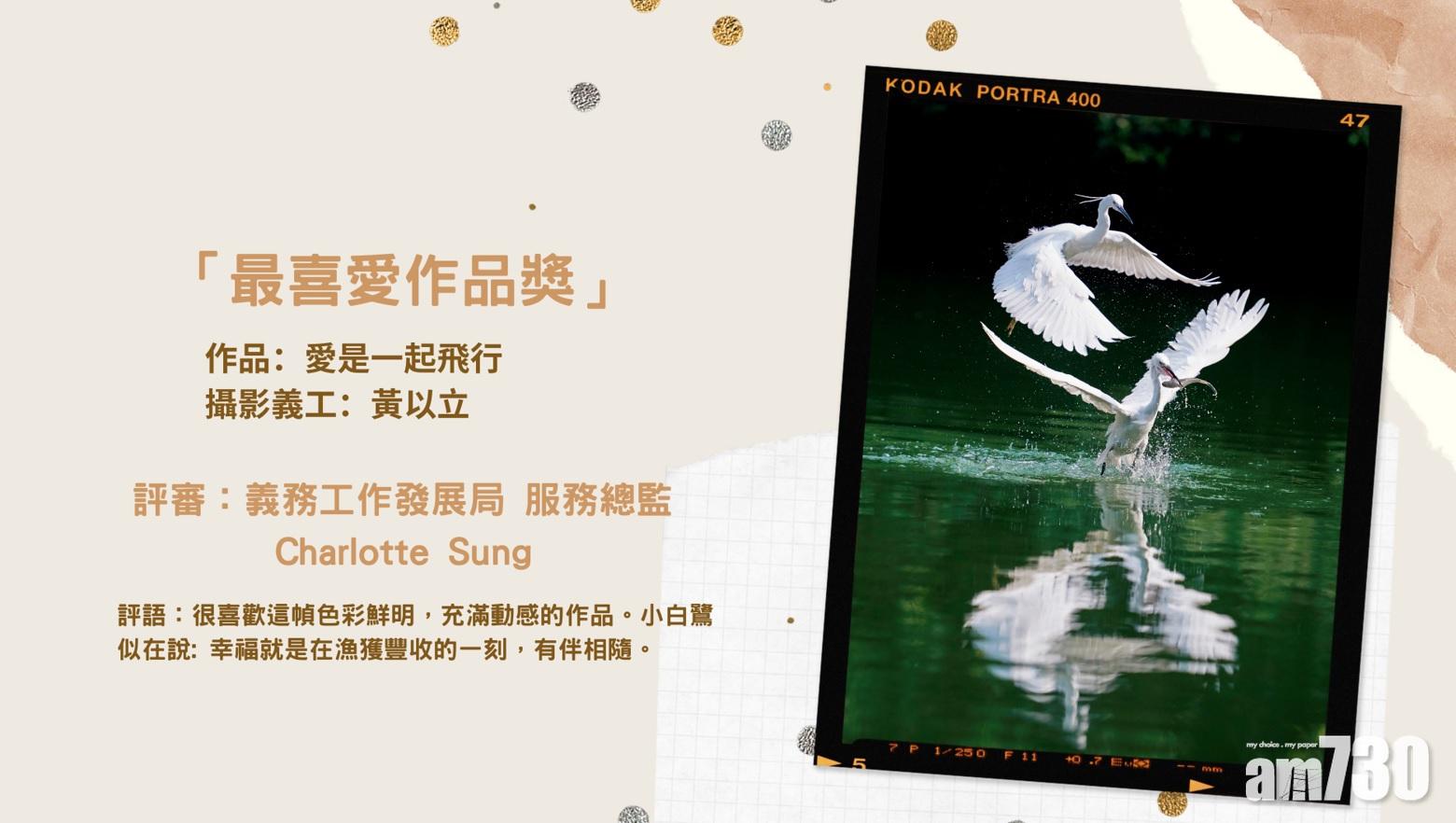 義務工作發展局舉辦第十六屆「攝出愛與關懷」攝影展即日起至本月18日於網上舉行展覽。