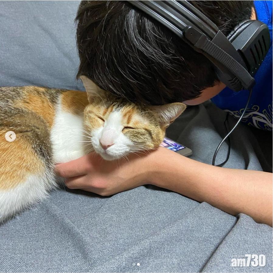 三色貓「小雪」仍與男孩關係親密。(koyuki_chan01 @IG)