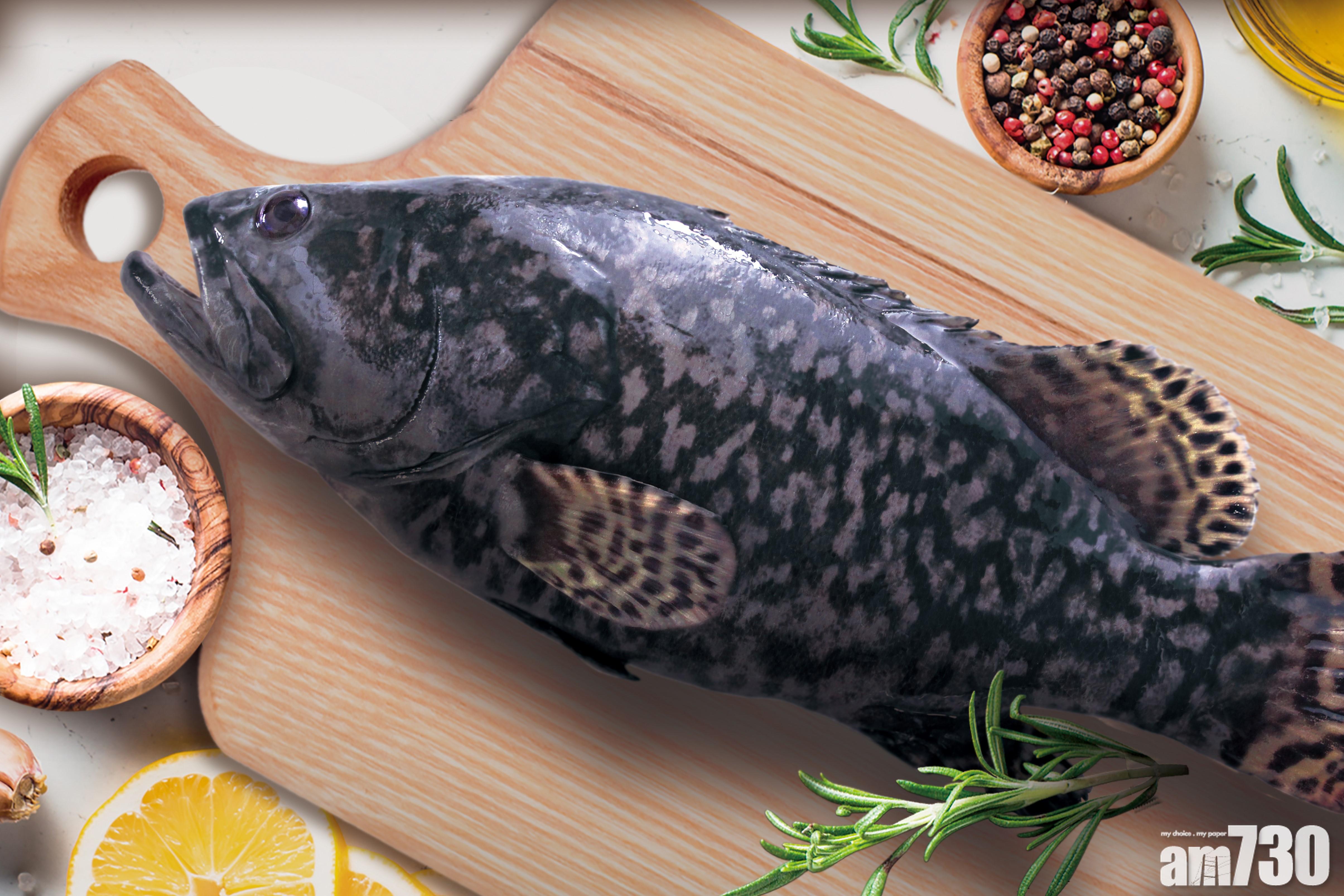 Mark的魚場供應室內飼養的花尾龍躉,確保優質無污染。