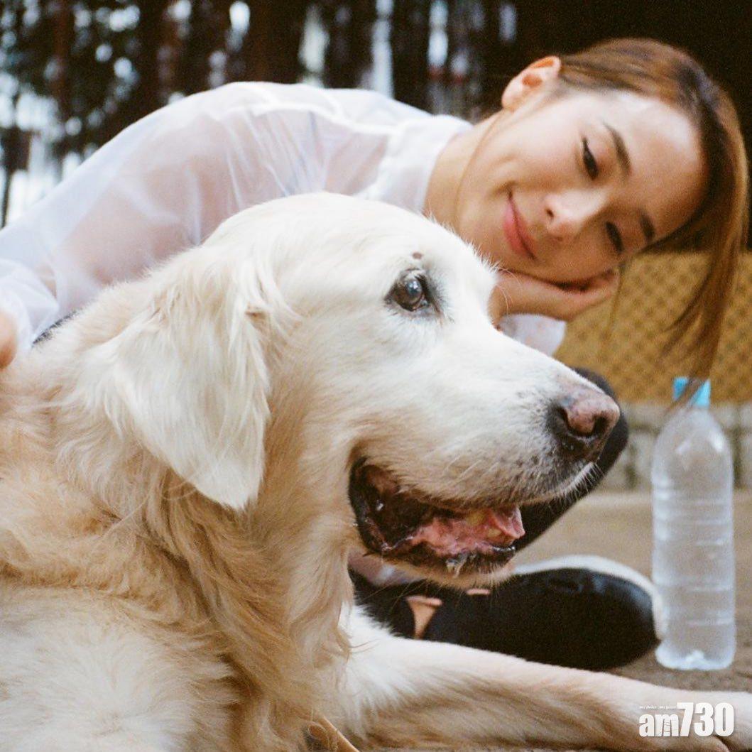 雖然Mui Mui離開了,李旻芳表示這就是生命,需要接受。