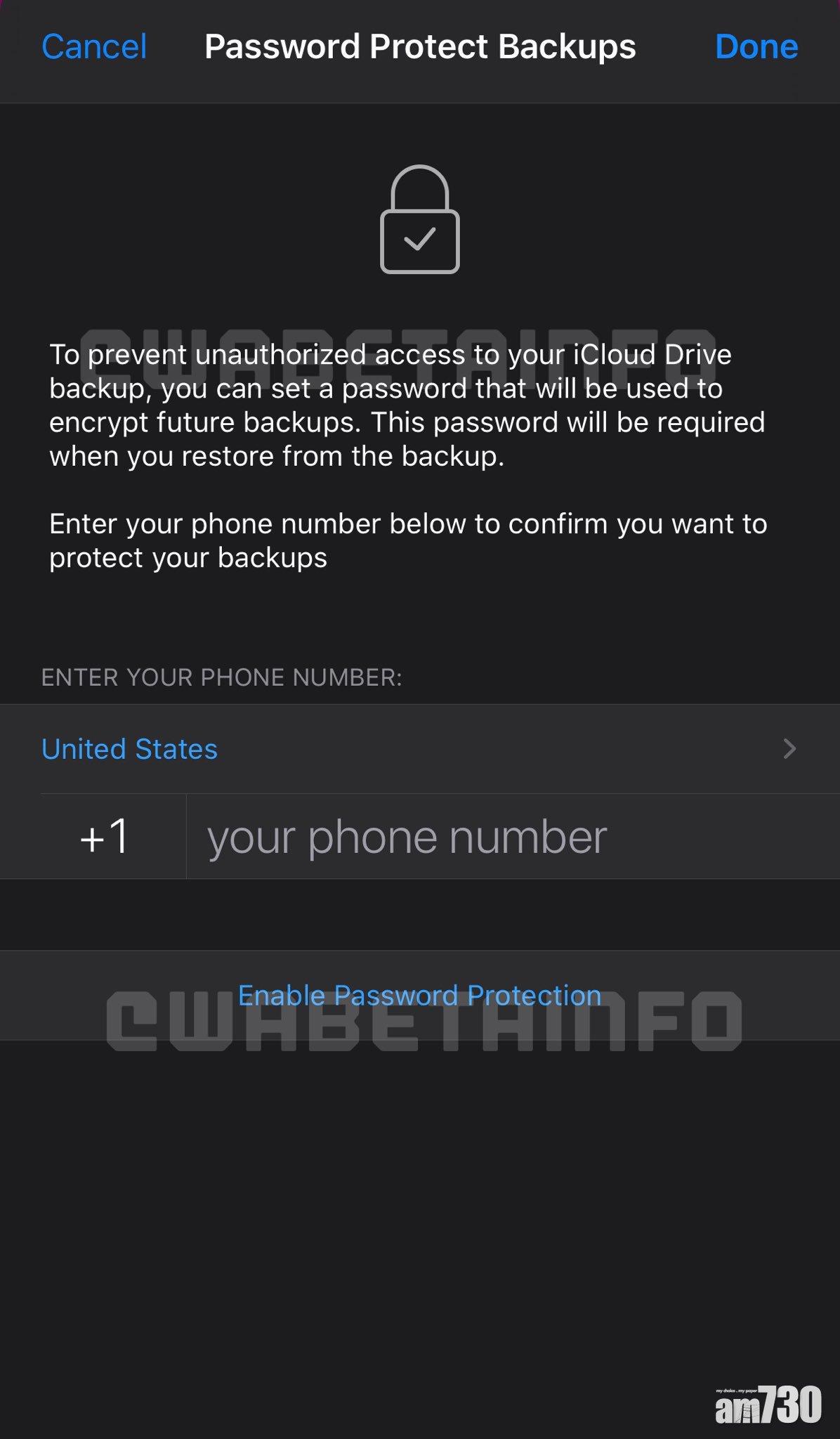 iOS版WhatsApp密碼保護備份啟用介面,用戶需要輸入電話號碼作實。(來源:WABetaInfo)
