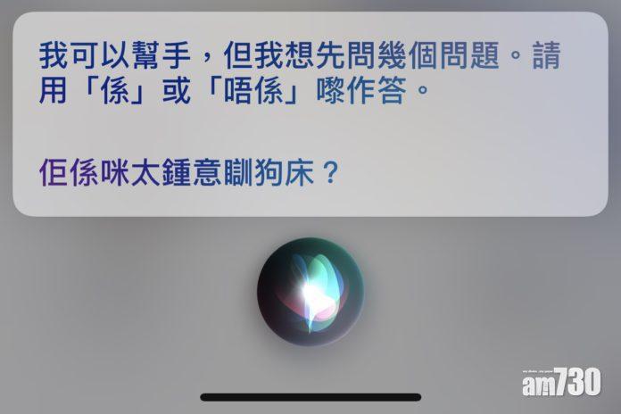 其實唔止貓,連狗都可以改名呢!