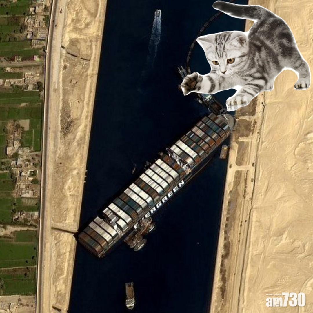 貓貓掌一撥就OK啦!(互聯網)