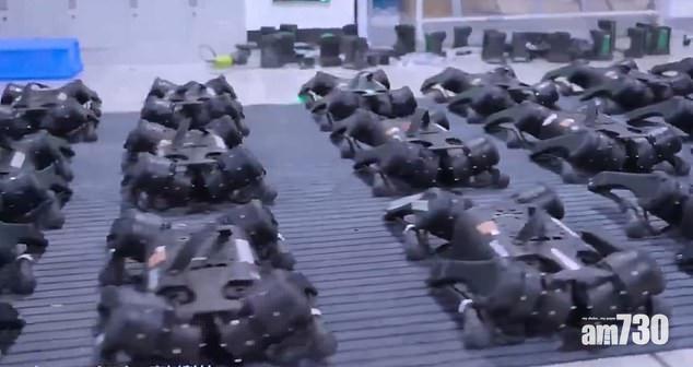 行動整齊如軍隊。(互聯網)