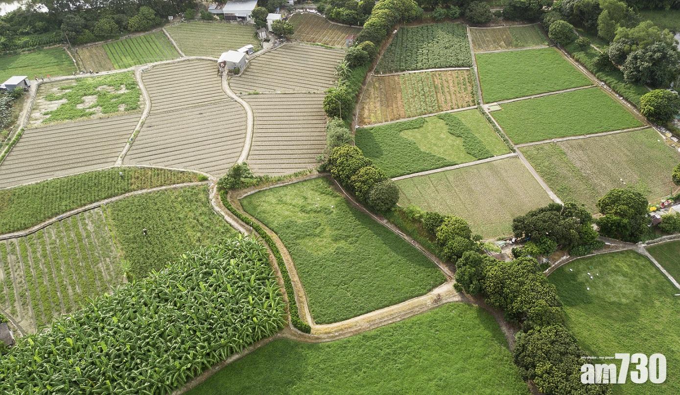 漁護署去年接獲79宗「農地復耕計劃」申請個案。(資料圖片)