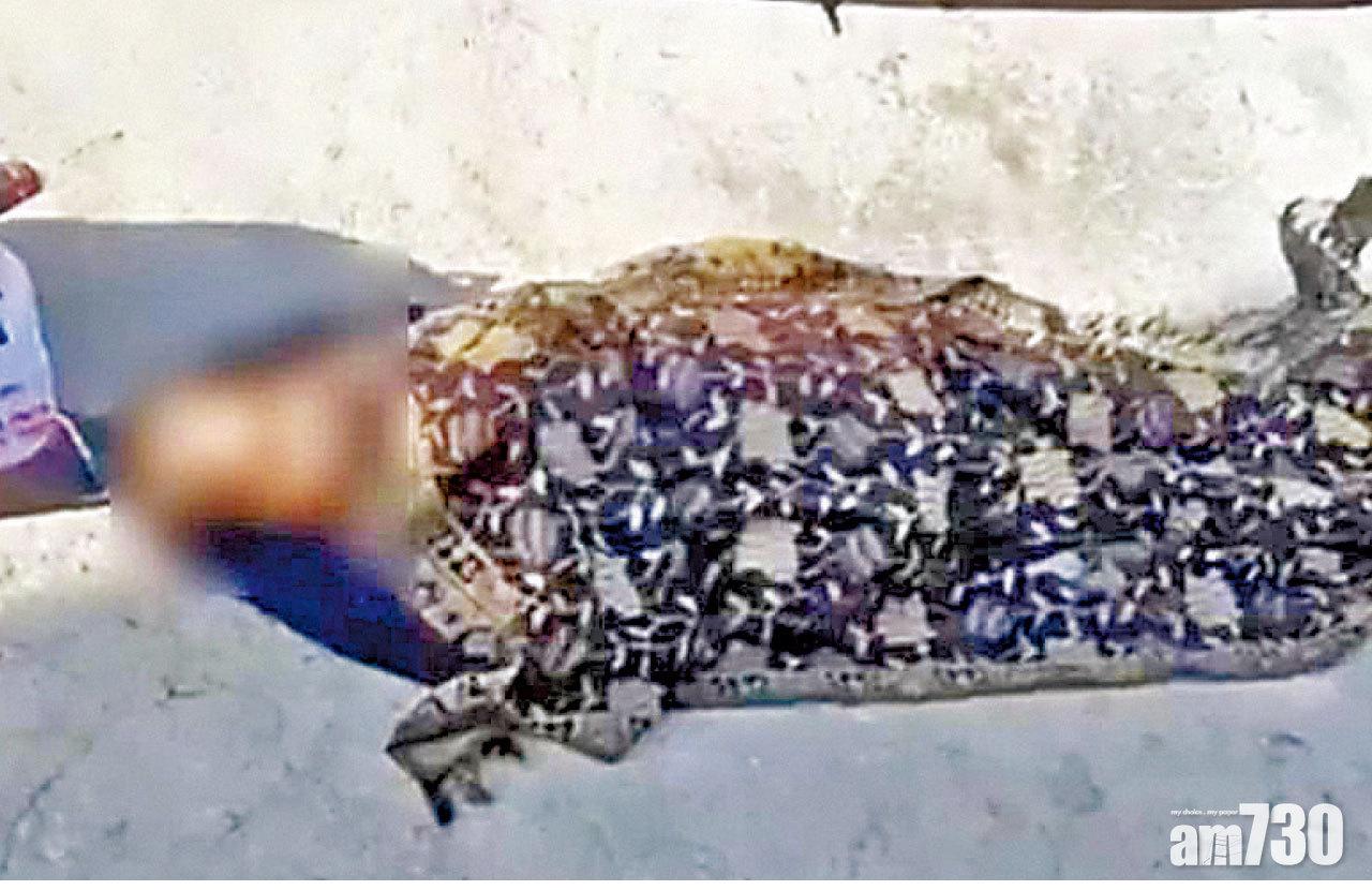 印度死亡人數不斷攀升,網傳有人將染疫死亡的母親棄置街頭。