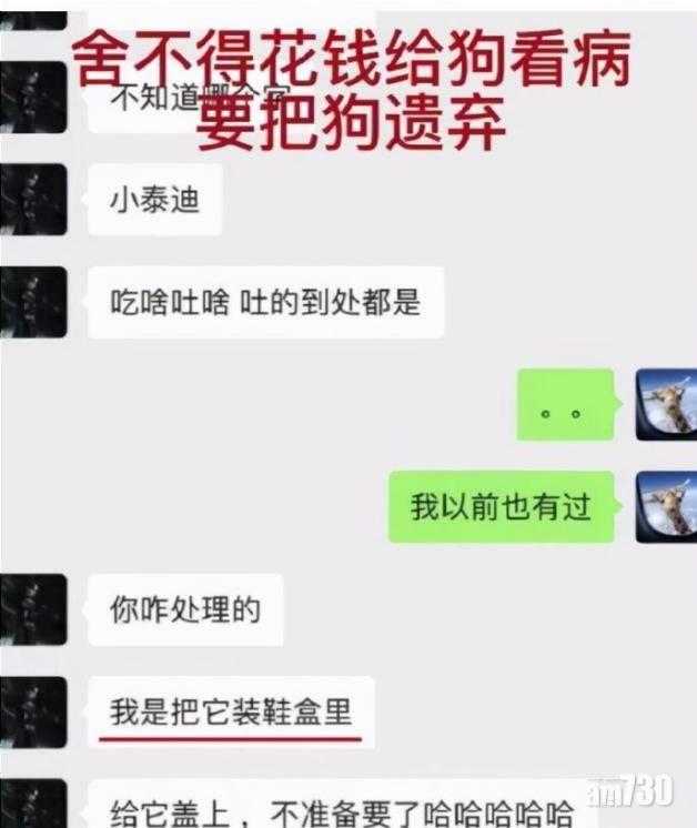 張恒還曝光鄭爽其他人格問題。(互聯網)