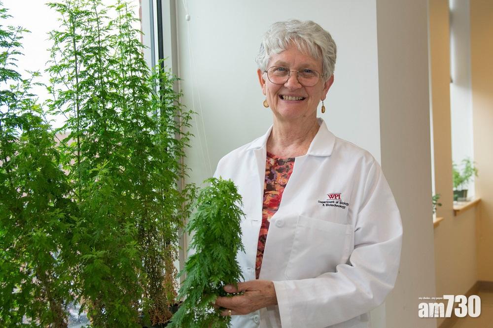 伍斯特理工學院生物學教授Pamela Weathers。(WPI)